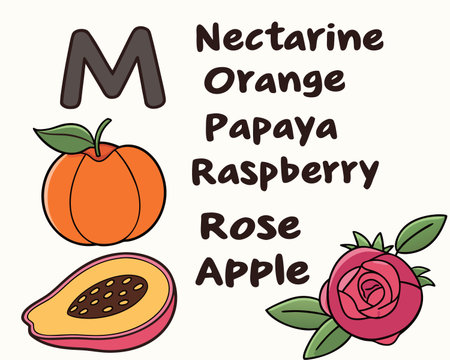 \Lettering \"\"Nectarine,o,papaya"のイラスト素材