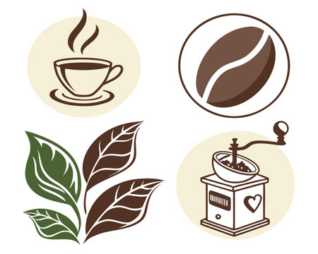 Coffee design over white background, vector illustration eps10のイラスト素材