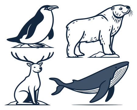 Set of sea animals. Polar bear, whale, penguin, seal, penguin. Vector illustrationのイラスト素材