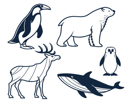 Set of animals. Vector illustration of penguins, deer, bear, whale, penguin, deer, penguin, penguin.のイラスト素材
