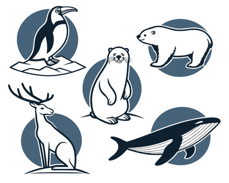 Set of vector illustrations of polar bears, arctic animals, penguins, deer, bear, penguin, penguin, whale.のイラスト素材
