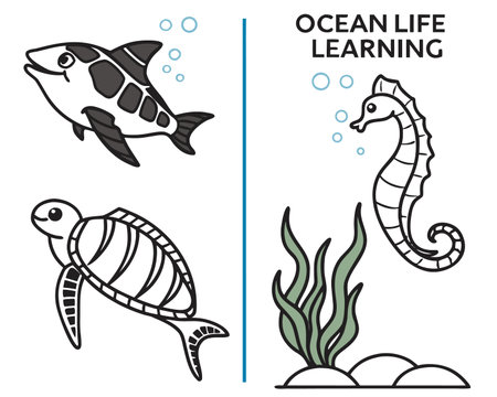 Coloring book for children: ocean life (sea turtle, seahorse)のイラスト素材