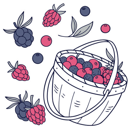 Basket with berries. Vector illustration in doodle style.のイラスト素材