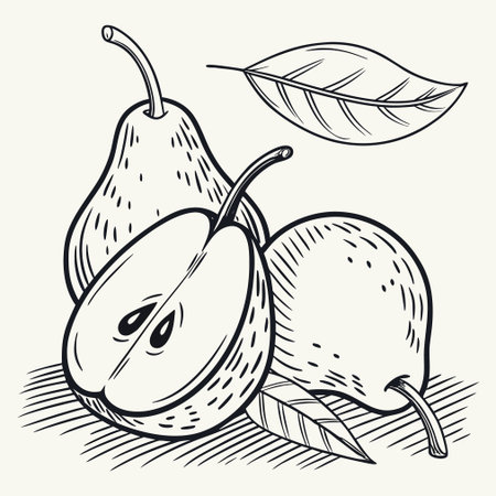 Pears. Hand drawn vector illustration in engraving style.のイラスト素材