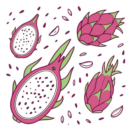 Set of dragon fruit isolated on a white background. Vector illustration.のイラスト素材