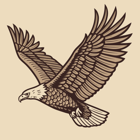 Eagle in flight. Hand drawn vector illustration in vintage style.のイラスト素材