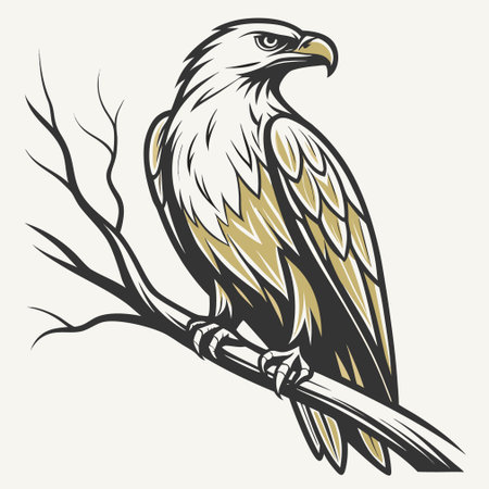 Eagle on a branch. Vector illustration in the style of engraving.のイラスト素材