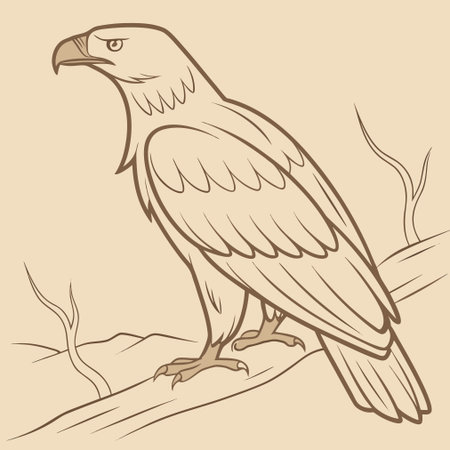 Eagle on a tree branch. Vector illustration of an eagle.のイラスト素材
