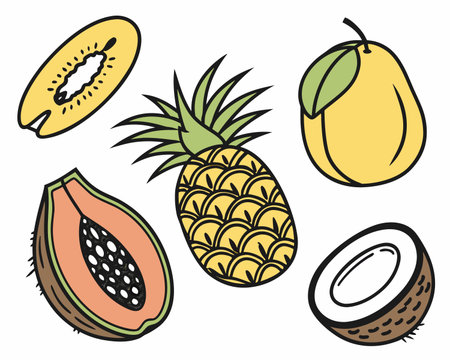Set of tropical fruits. Vector illustration in doodle style.のイラスト素材