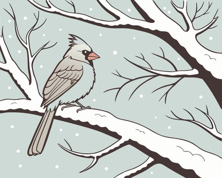 Winter card with a cardinal on a tree branch. Vector illustration.のイラスト素材