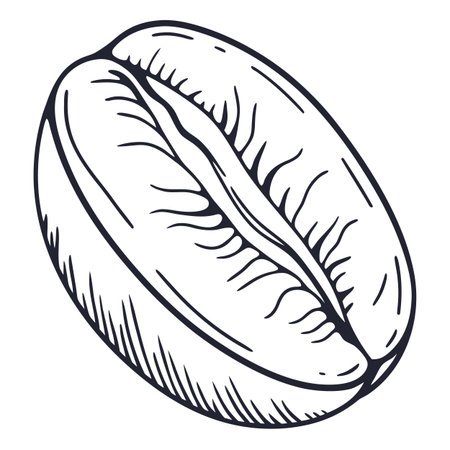 Coffee beans isolated on a white background. Vector illustration.のイラスト素材