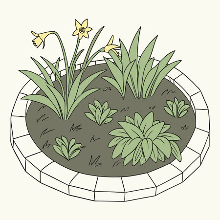 Daffodils in a flower pot. Vector illustration of a garden.のイラスト素材