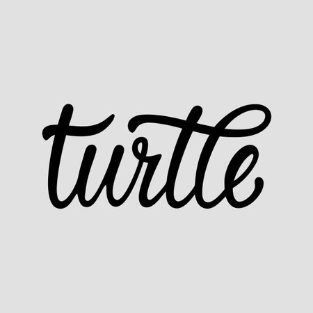 Tutile. Hand drawn lettering phrase. Vector illustration.のイラスト素材