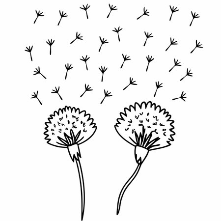 Dandelion. Hand drawn doodle sketch vector illustration.のイラスト素材