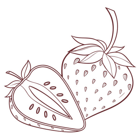A clean and simple outline illustration of a sliced strawberry, showcasing its fresh and natural form with a minimalist aesthetic, ideal for healthy eating themes.のイラスト素材