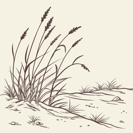 A minimalist, linear vector illustration outlining a dry summer grassland, capturing the essence of a serene natural landscape.のイラスト素材