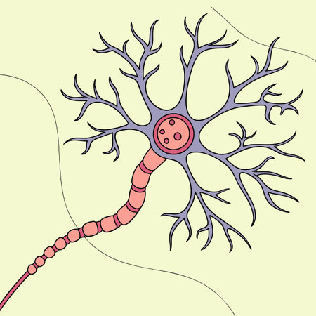 Illustration of a human neuron with blood cells. Vector illustration.のイラスト素材