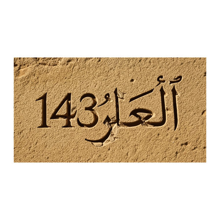 A close-up, textured view of an ancient stone block with the Arabic numeral '143' and Arabic...