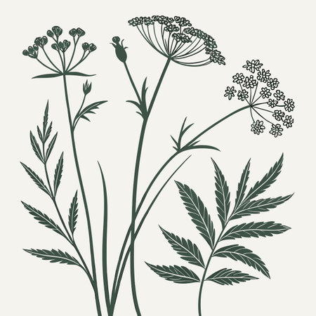 A minimalist botanical illustration featuring silhouettes of various wildflowers and meadow plants...