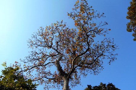 dancing moodの写真素材