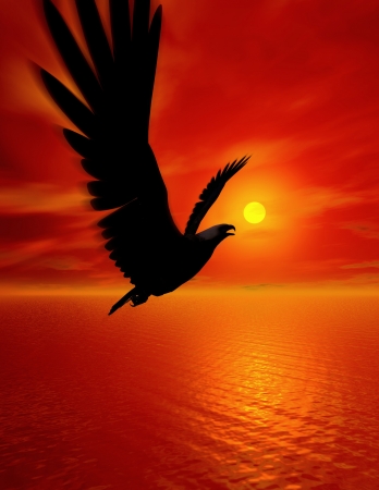 Beautiful sky with sun  Eagle flying of light warm  の写真素材