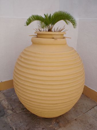 Big vase with palm close to building                               の写真素材