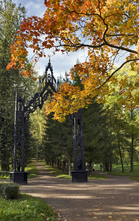 Yellow maple tree leaves and Gothic style open-work gateの写真素材