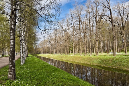 Spring landscape with canal and birches in the parkの写真素材