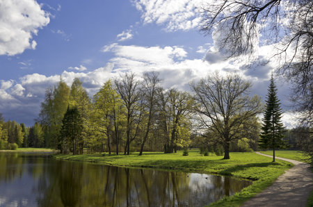 The pathway next to the pond in spring