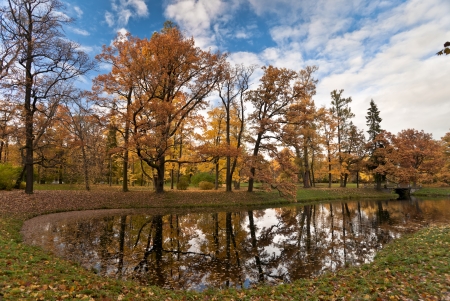 Autumn park with golden and red maple leaves and the pondの写真素材