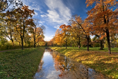 Canal in autumn park with maple-tree alley alongの写真素材