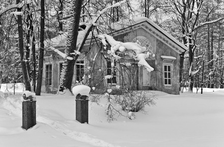 Park pavilion among frozen trees in winter, monochromeのeditorial素材