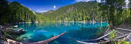 Natural landscape.  Panorama view of the lake Small Ritsa. Trees reflecting in the blue from lapis lazuli water. Ritsa National Park, Abkhazia, Georgiaの写真素材