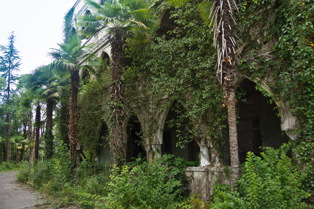 Abandoned and overgrown mansion in oriental style. Concept of Tale 1001 Arabian Nights. Sukhum, Abkhaziaの写真素材