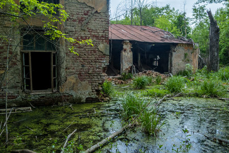 Old flooded overgrown ruined abandoned forsaken building among bog after the flood disaster several years agoの写真素材