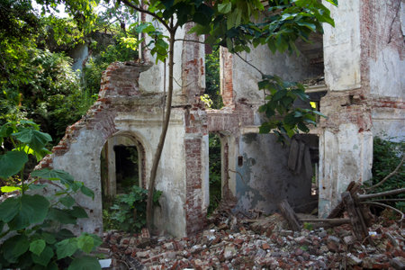 Overgrown ruins of abandoned mansion, Abkhaziaの写真素材