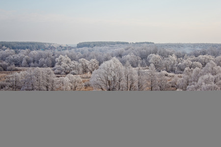 Winter landscape, Trees covered with hoarfrost, winter is comingの写真素材