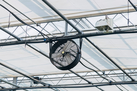 Fan in modern agricultural greenhouse. Greenhouse ventilation system