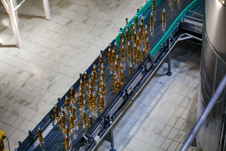 Modern automated beer bottling production line. Beer bottles moving on conveyor.