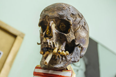 Human skull with cigarette, anti smoking concept.