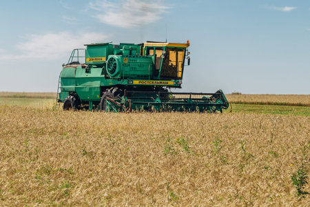 Combine harvester machine harvesting wheat in the field at sunny day in Russia, Voronezh region, 10...