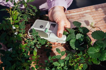 Modern portable device for measuring the chlorophyll and nitrogen content in plant leaves.の写真素材