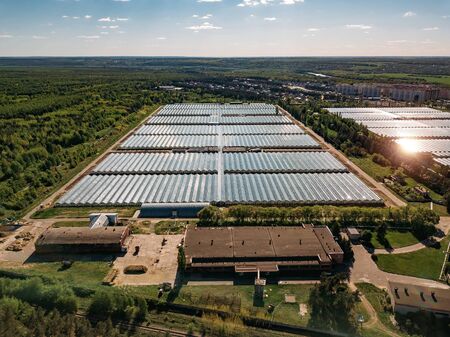 Aerial drone view of modern glass greenhouses.の写真素材