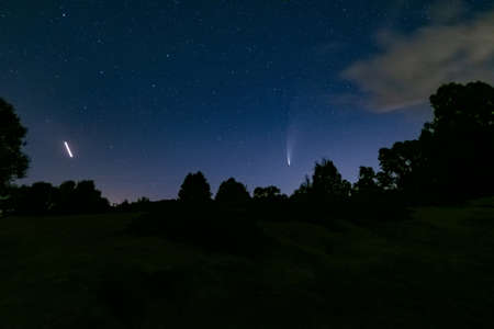 Neowise comet C / 2020 F3 above night forest.の写真素材