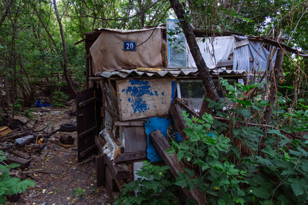 Homeless dweling. Small habitation made from garbage in dirty littered forest.の写真素材