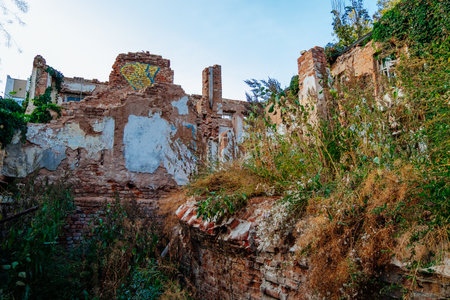 Old abandoned overgrown houses in ghost townの写真素材