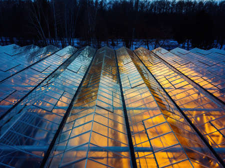 Glowing modern glass greenhouse in winter night, aerial view.の写真素材