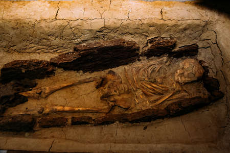 Old human skeleton in ancient tomb at archaeological excavation.の素材 [FY310171846396]