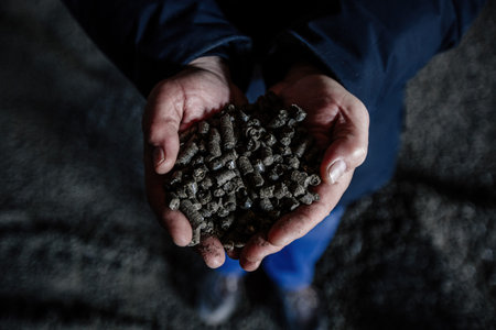 Black bio fuel pellets in human hands, close up view.