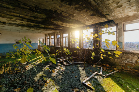 Overgrown by plants old abandoned building interior.の写真素材